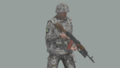 CUP B CDF Soldier GL SNW.png