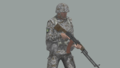 CUP B CDF Soldier AR SNW.png